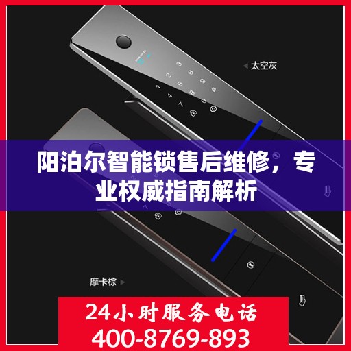 阳泊尔智能锁售后维修，专业权威指南解析