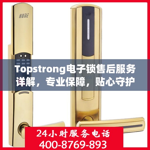Topstrong电子锁售后服务详解，专业保障，贴心守护您的安全之选