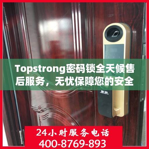 Topstrong密码锁全天候售后服务，无忧保障您的安全