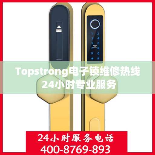 Topstrong电子锁维修热线 24小时专业服务