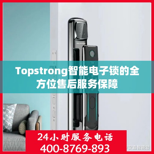 Topstrong智能电子锁的全方位售后服务保障