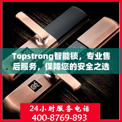 Topstrong智能锁，专业售后服务，保障您的安全之选