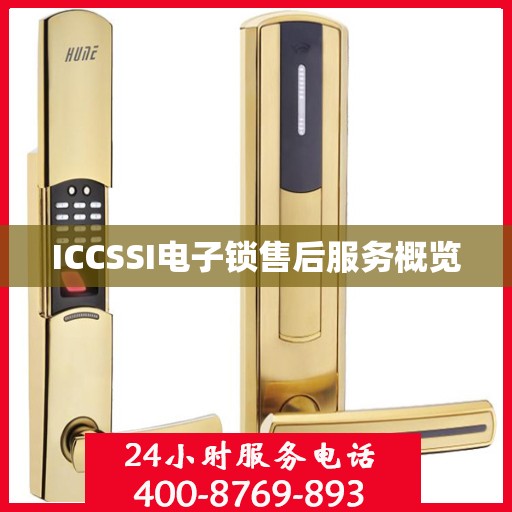 ICCSSI电子锁售后服务概览