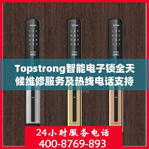 Topstrong智能电子锁全天候维修服务及热线电话支持