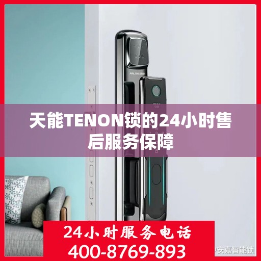 天能TENON锁的24小时售后服务保障